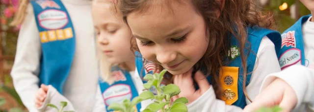 Girl Scout Daisies