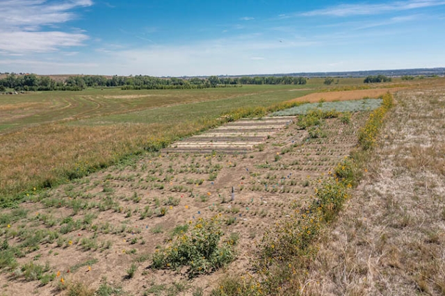 aerial view of farm