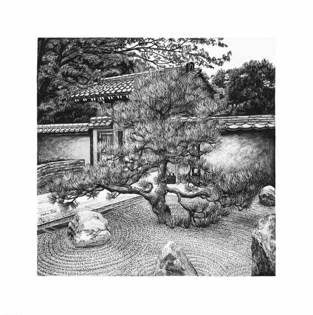 Milvi Gill, “Pinus ponderosa” (Ponderosa pine), Sofu-en Japanese Garden, pen & ink and clayboard, 2019. Milvi Gill, “Pinus ponderosa” (Ponderosa pine), Sofu-en Japanese Garden, pen & ink and clayboard, 2019.