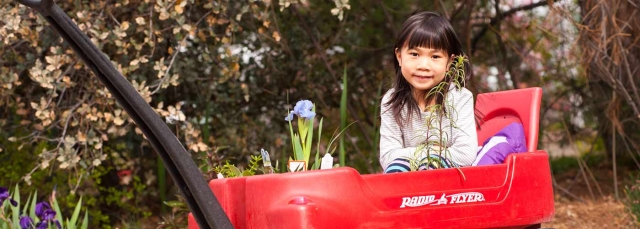 Child in a red wagon holding plants