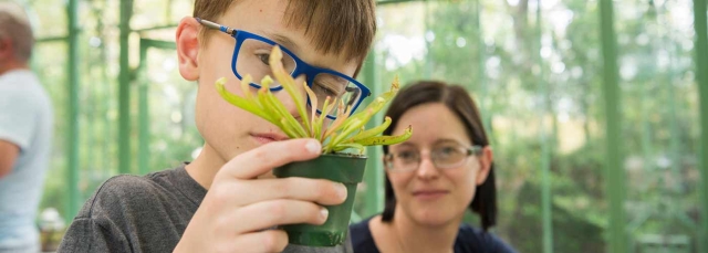 Child looking at plant with adult in the background.