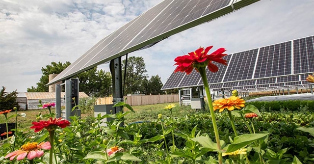 solar array
