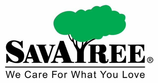 SavaATree logo 2023