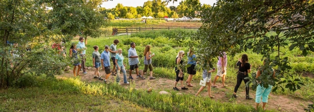 Walking at Chatfield Farms