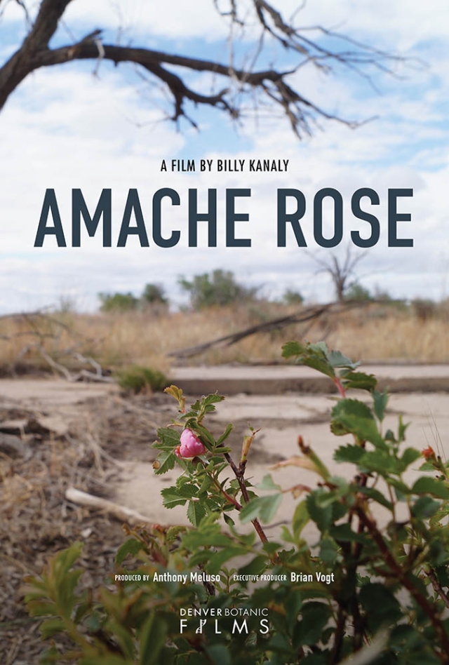 Film poster