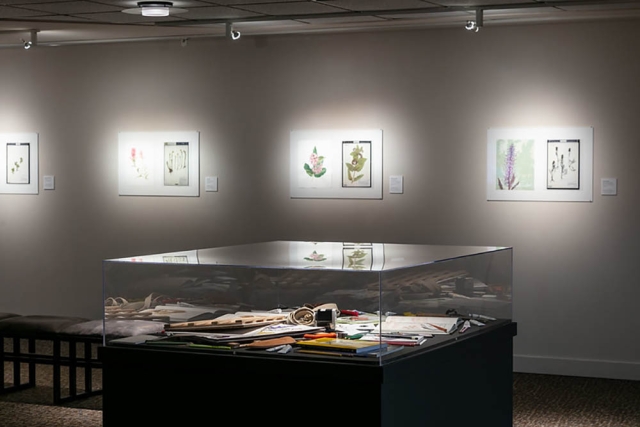 Flora exhibit