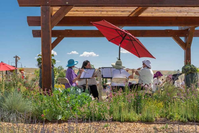 Lavender Festival