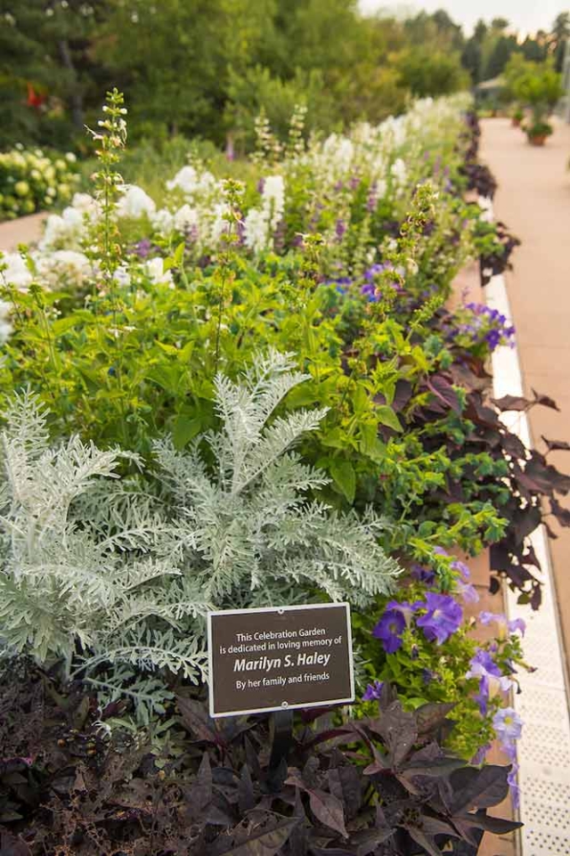 Celebration Garden Celebration Garden