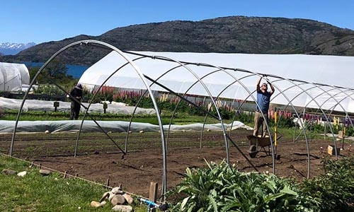 man building greenhouse