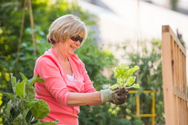 Gardening For Beginners