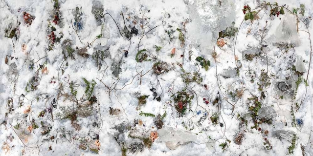 Tanya Marcuse, "Woven No. 31," pigment print, 2018. Tanya Marcuse, "Woven No. 31," pigment print, 2018.