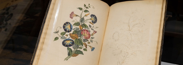 Edward P. Connors Rare Books Reading Room Edward P. Connors Rare Books Reading Room