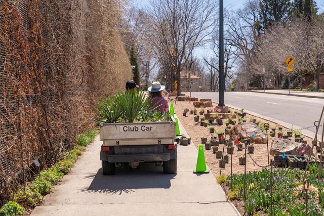carting plants