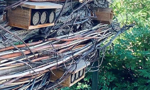 insect hotel thumbnail