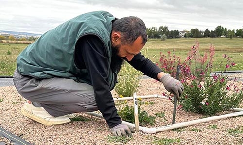 horticulturist taking soil sample
