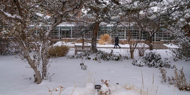 two people walking through winter gardens