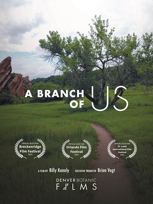 Movie poster for A Branch of Us