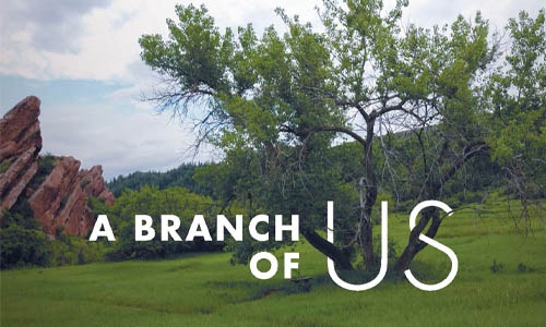 A Branch of Us thumbnail