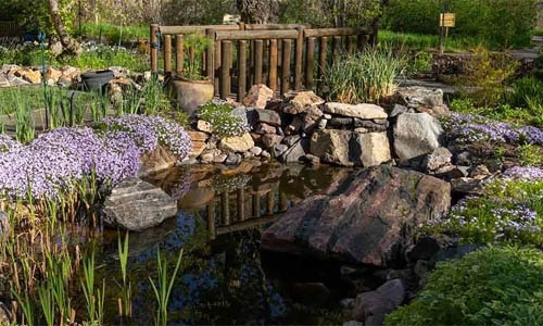 water garden with bridge and phlox