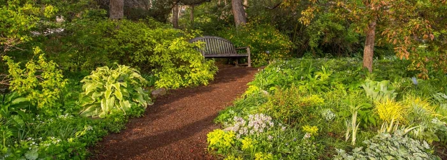 Oak Grove in April Oak Grove in April