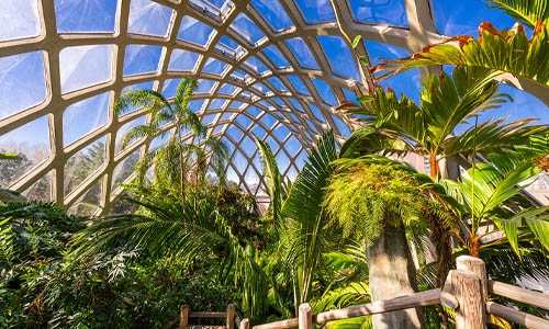interior of the tropical conservatory