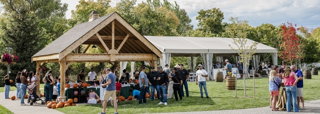 A party happening outside in a grassy area with a covered open-sided building and a tent with open sides with 
