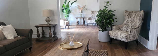 The inside of cottage with furniture, plants and a hardwood floor. Light is streaming through a window.