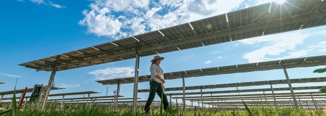 Person walking under solar panels with bright blue skies and white clouds overhead