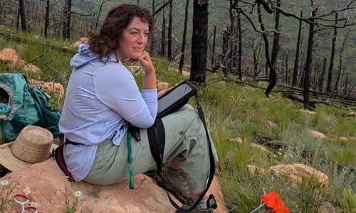 woman sitting on rock with digital tablet and dead trees in background