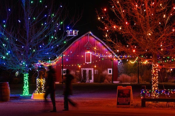 Red barn at dusk with twinkling lights shining on bushes and trees. People are gathering outside of the red barn. 