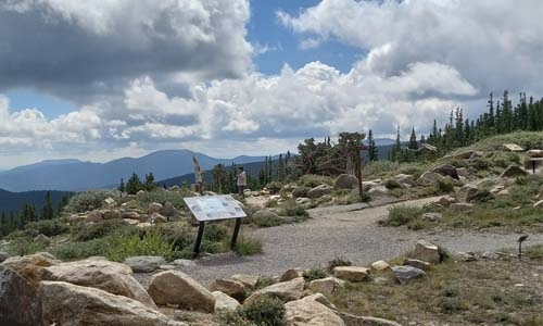 Pesman Trail on Mount Goliath