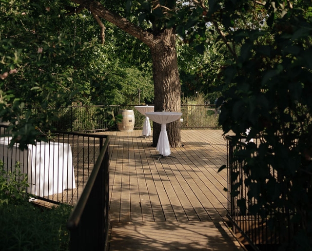 Wooden deck supporting tables wrapped in white cloth. A tree grows through the center of the deck. 