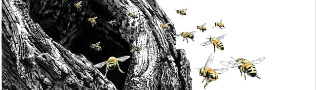 illustration of bees