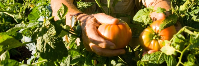 Community Garden at Congress Park