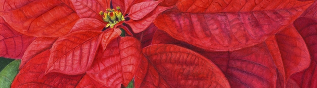 Drawn from Nature: Selections from the School of Botanical Art & Illustration