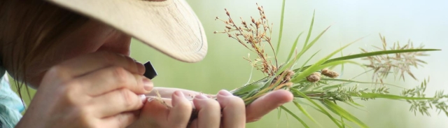 Closeup of a woman looking at a plant