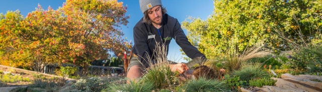 A man doing work in a garden outside