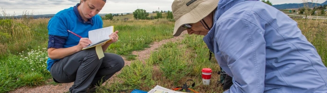 Two people working outside together