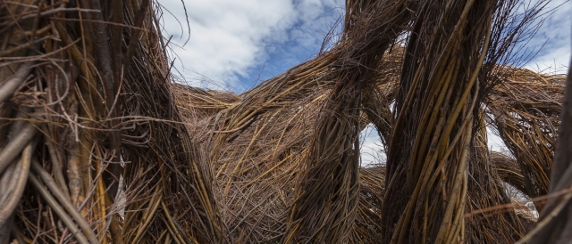 One Fell Swoop (2019), Denver Botanic Gardens, Denver, CO