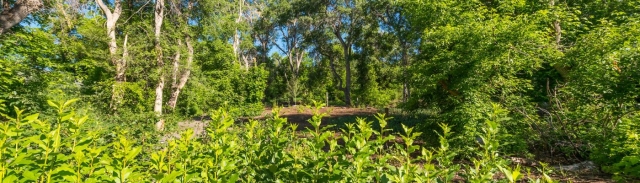 Riparian Demonstration Garden