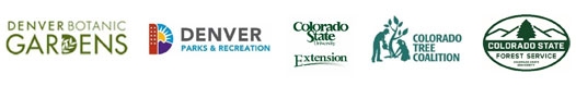Rollinger project logos