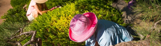 Two volunteers working in a garden