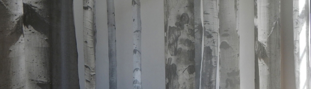 Melanie Walker, Ghost Forest (detail), print on silk, 2020.