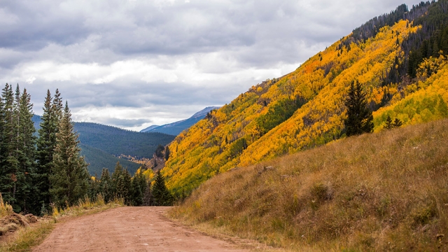 Aspens