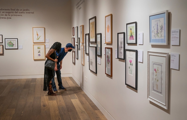 gallery