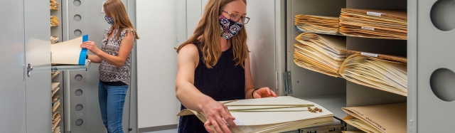 Natural History Collections banner