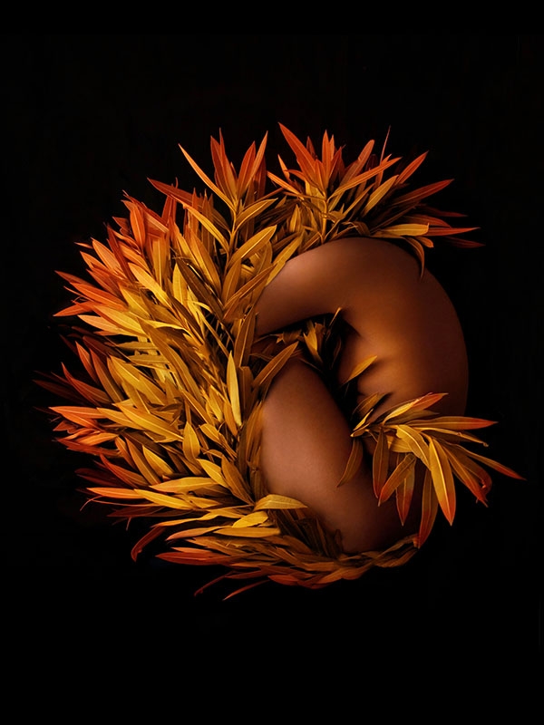 Be like a Phoenix