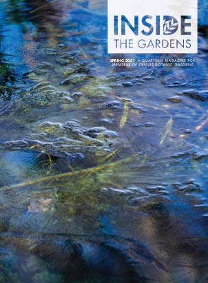 Inside the Gardens Spring 2021