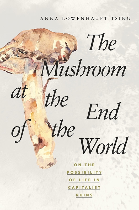 Mushroom at the end