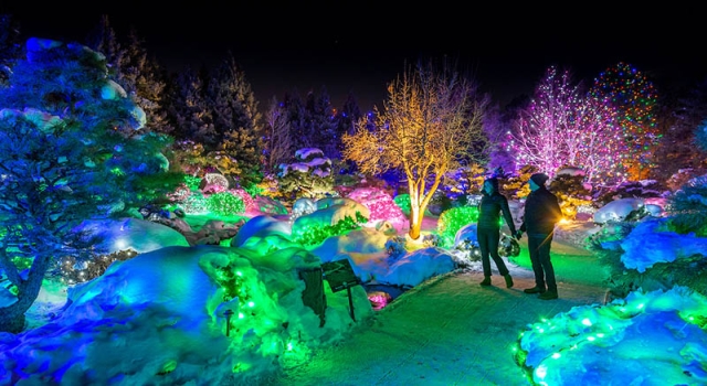 2019 japanese garden